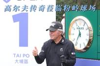 对抗中
