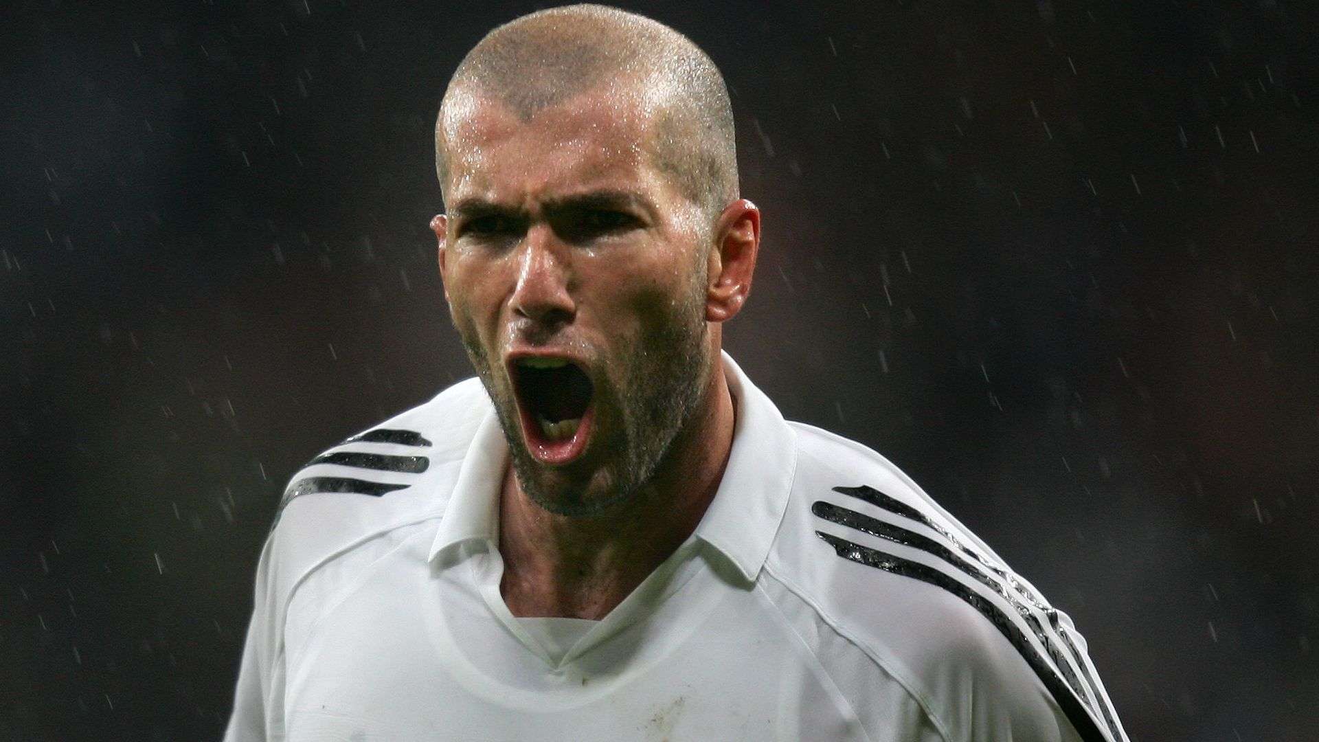 有战术灵活 有战术灵活